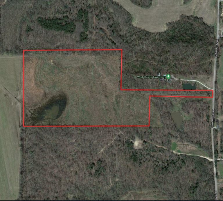 Old Brownsville Road SOLD Renaissance Realty