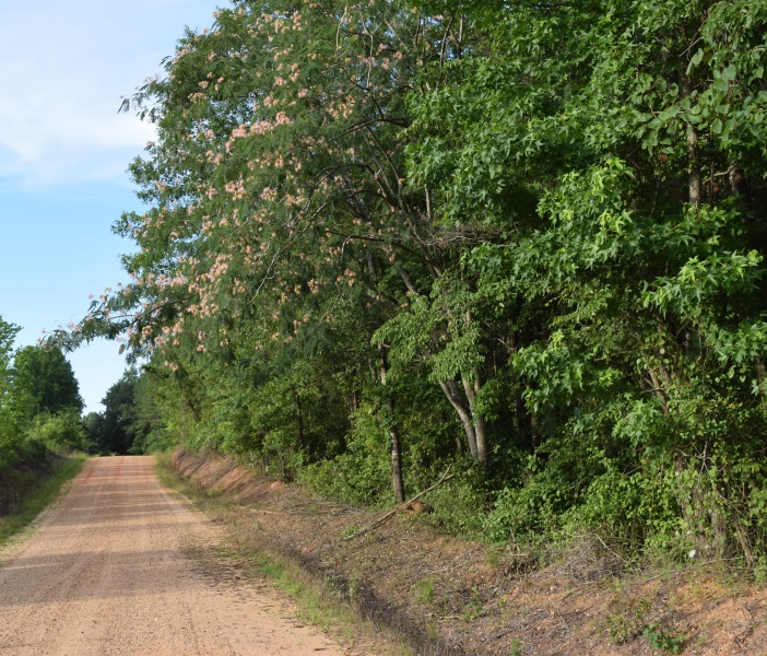 MURDOCK RD. SOLD Renaissance Realty